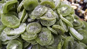 Hafife almayın, zamanla kansere dönüşebilir | Enfeksiyonların kansere dönüşme durumu düşündüğümüzden daha yaygın